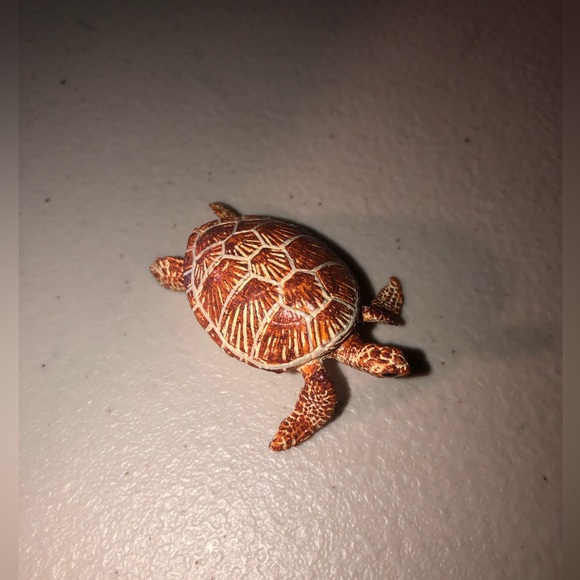 Creature Close-Up: Ocean Animals Hardcover Book - Picture 4 of 5